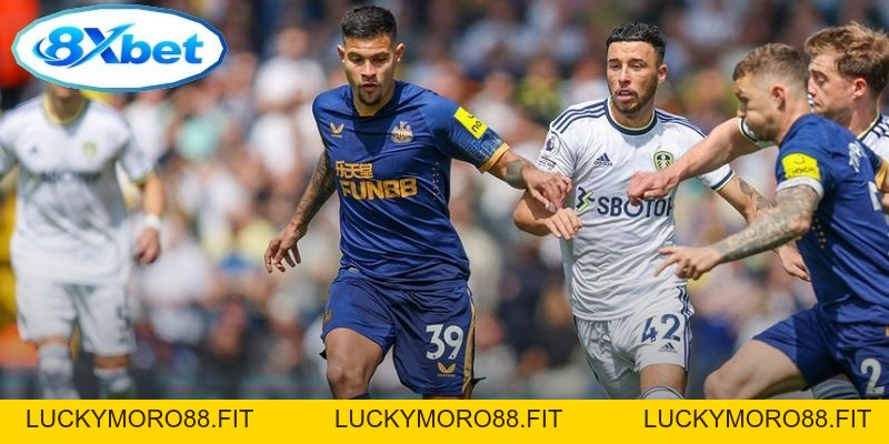 Nhận Định Ngoại Hạng Anh: Leeds United vs Newcastle United 02:00 (15/09/2026) - Luckymoro88