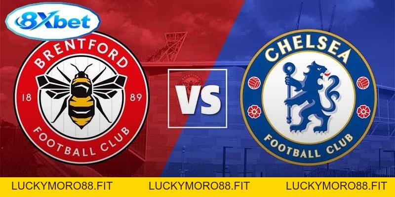 Thể thao 8xbet - 8XBET - Luckymoro88