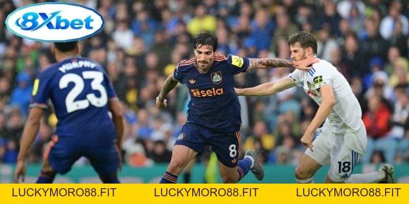Thể thao 8xbet - 8XBET - Luckymoro88