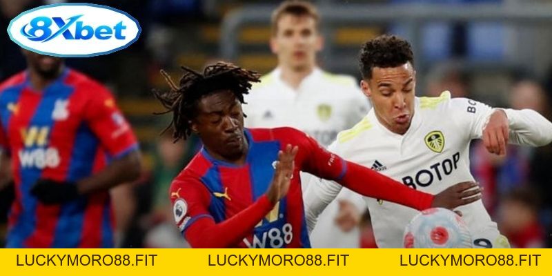 Nhận Định Ngoại Hạng Anh: Leeds United vs Crystal Palace 20:00 (20/09/2026) - Luckymoro88